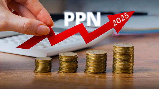 Pemerintah Resmi Menaikkan PPN Tahun 2025, Apa Dampaknya?