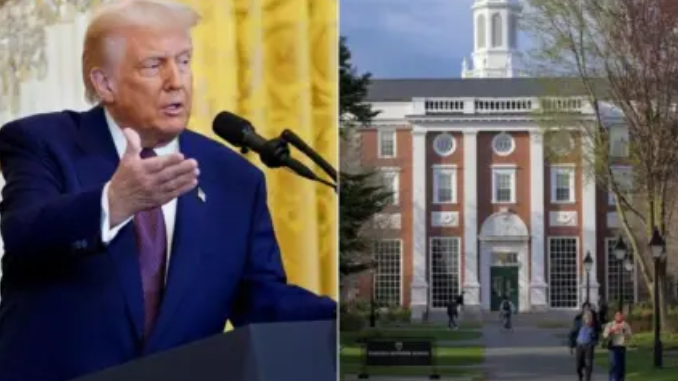 Trump larang Havard terima siswa asing