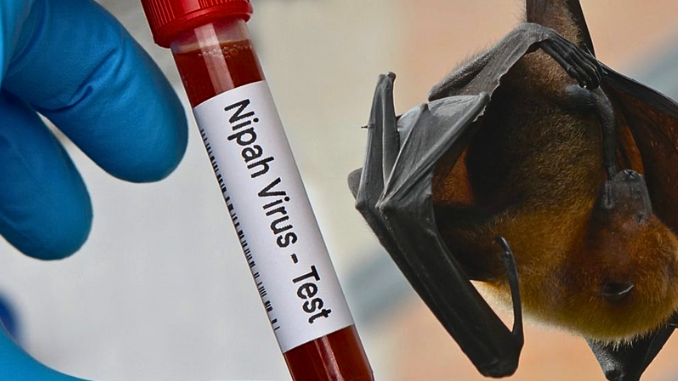 Uji Lab Nipah