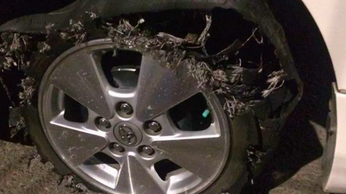 Viral! Kasus Pecah Ban Massal di Jalan Tol Jogorawi