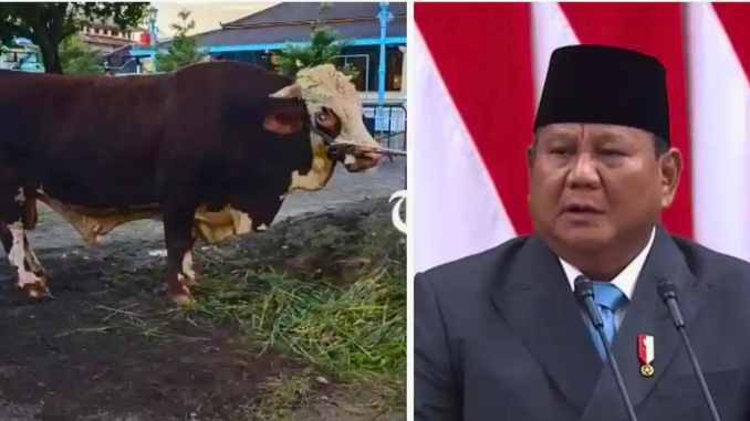 Kurban Prabowo
