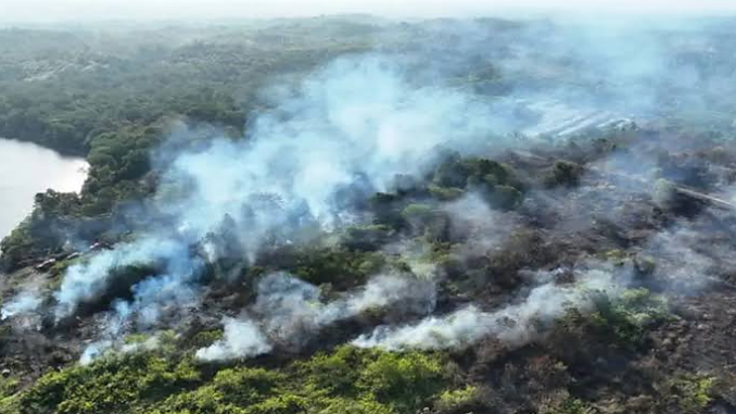 Kebakaran Hutan Kalimatan Terdeteksi Mencapai 21 Titik